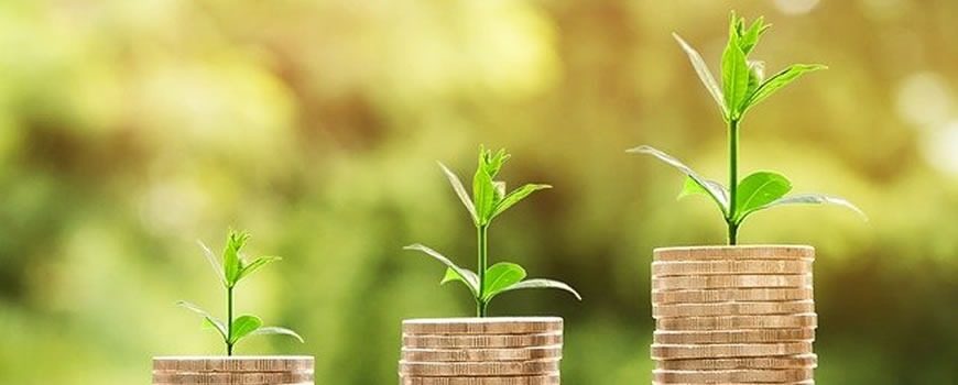 Young plants growing from stacks of coins